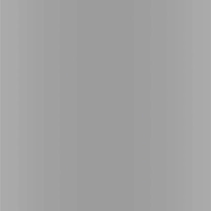 Dupli-Color EBFM02267 Perfect Match Automotive Spray, Ford Silver Metallic, 1E