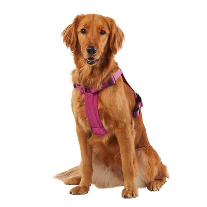 KONG Ultra Durable Waste Bag Harness (Small, Pink)
