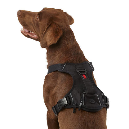 KONG Ultra Durable Waste Bag Harness (Small, Black)