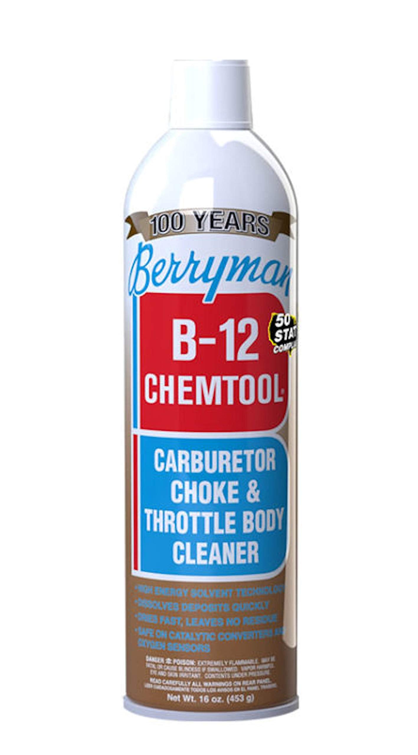 Berryman Products Choke and Throttle Body Cleaner with Extension Tube