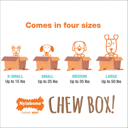 Nylabone Chew Toy Dog Surprise