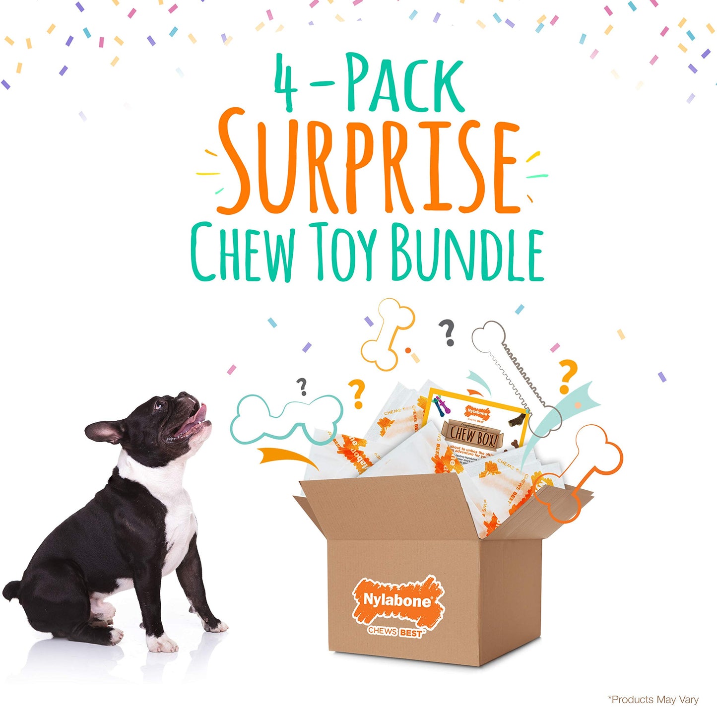 Nylabone Chew Toy Dog Surprise