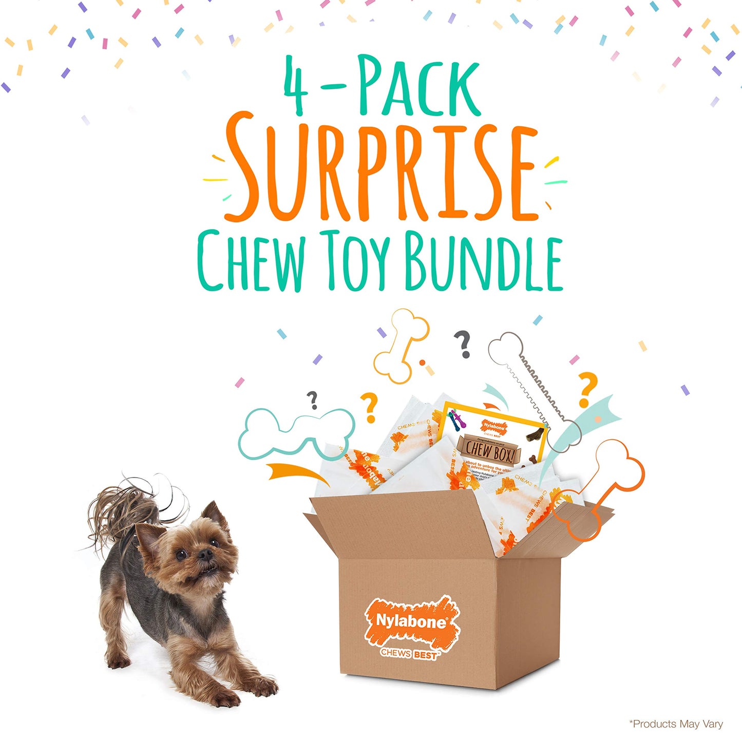 Nylabone Chew Toy Dog Surprise