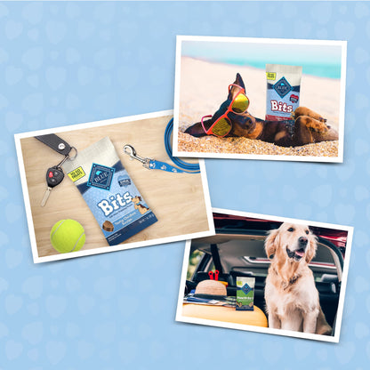 BLUE BUFFALO Bits Treats Bag Dog Support Cognitive Development