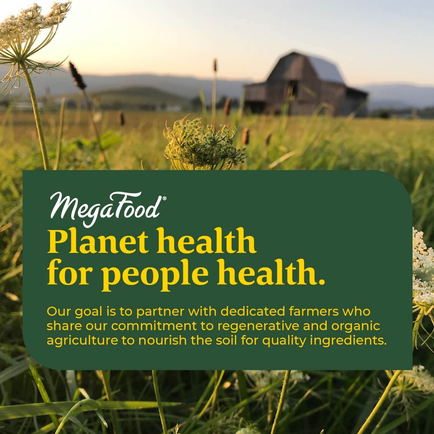 MegaFood Baby & Me 2 Prenatal Multi - Prenatal Vitamins for Mom & Developing Baby - Dr Formulated with Essential Nutrients Like Folic Acid, Choline, Biotin, and More - Non-GMO Tabs