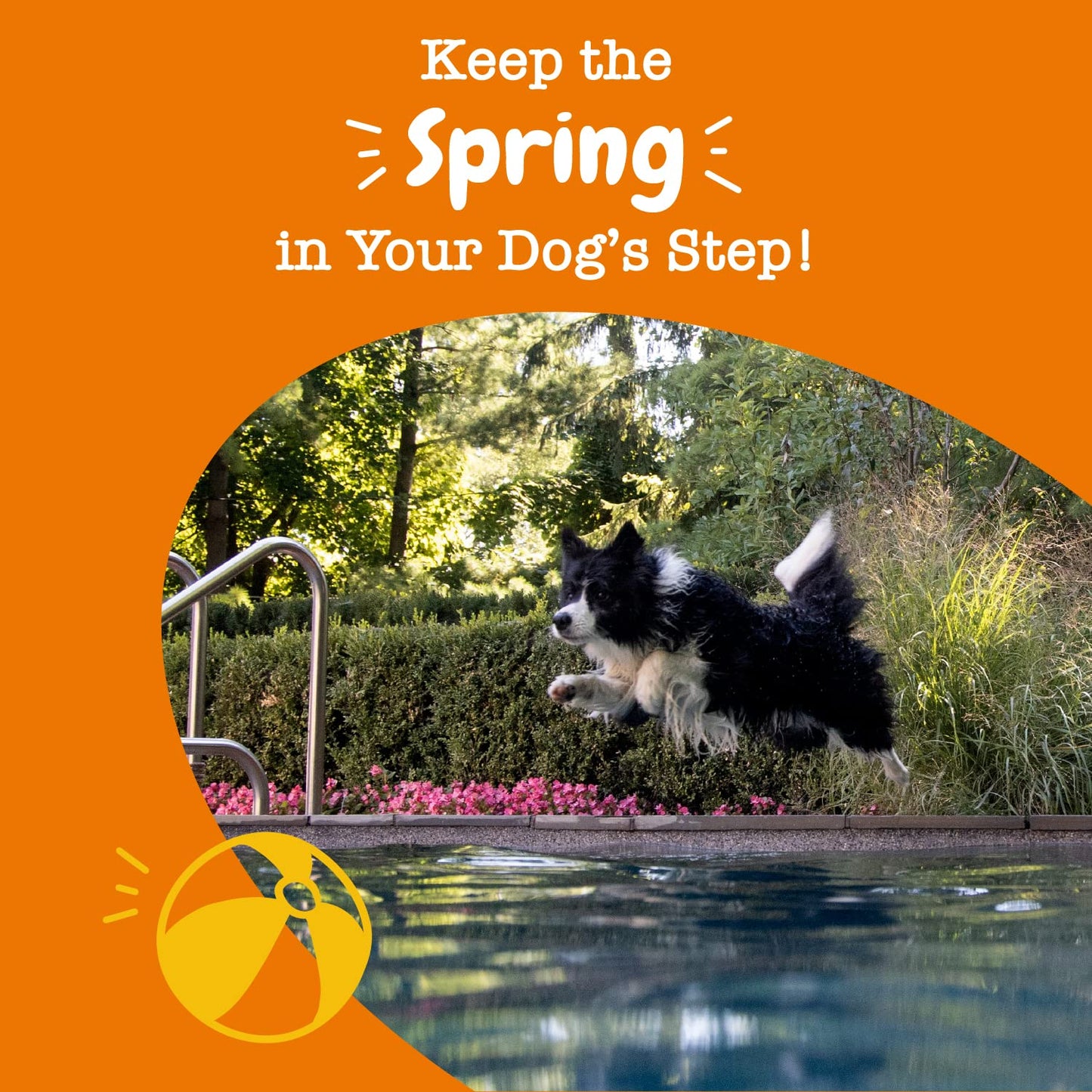 Mobility Bites for Dogs, Hip and Joint, All Ages, Duck, 90 Soft Chews, 12.7 oz (360 g), Zesty Paws