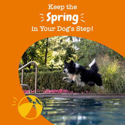 Mobility Bites for Dogs, Hip and Joint, All Ages, Duck, 90 Soft Chews, 12.7 oz (360 g), Zesty Paws