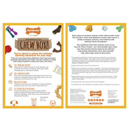 Nylabone Chew Toy Dog Surprise