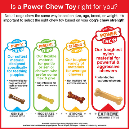 Nylabone Chew Toy Dog Surprise
