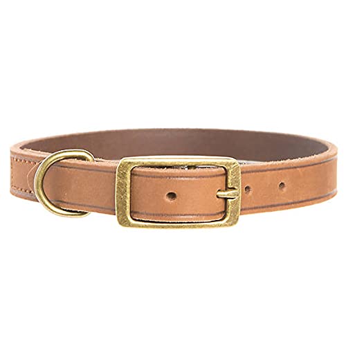 TOP PAW Dog Collar Medium