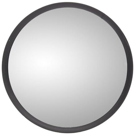 Truck-Lite (97816 Convex Mirror