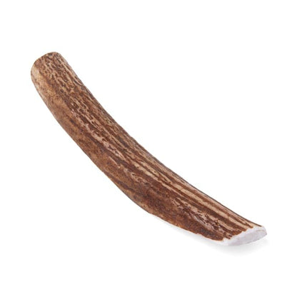 Good Lovin' Split Elk Antler Dog Chew