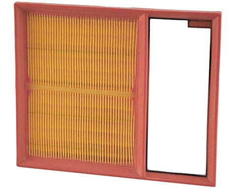 Napa Gold 200036 Air Filter