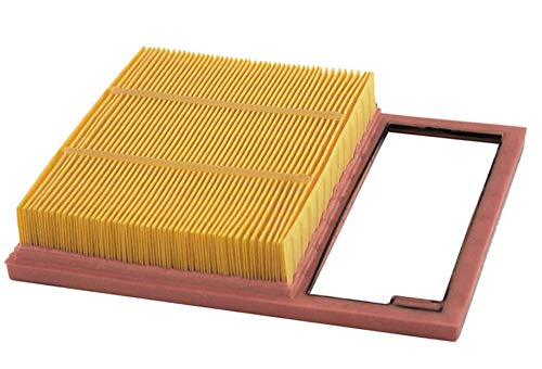 Napa Gold 200036 Air Filter