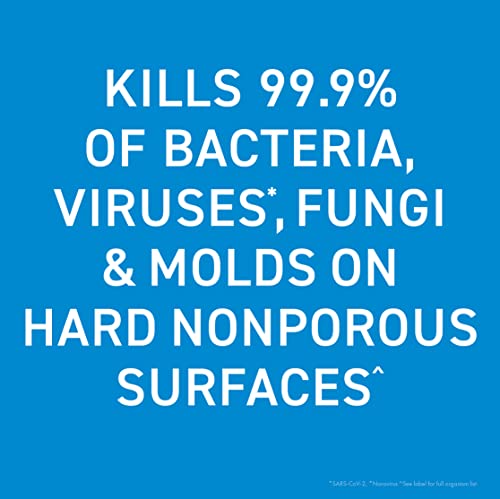 Bioesque Botanical Disinfectant Solution, Heavy Duty Broad-Spectrum Disinfectant, Kills 99.9% of Bacteria, Viruses*, Fungi, & Molds