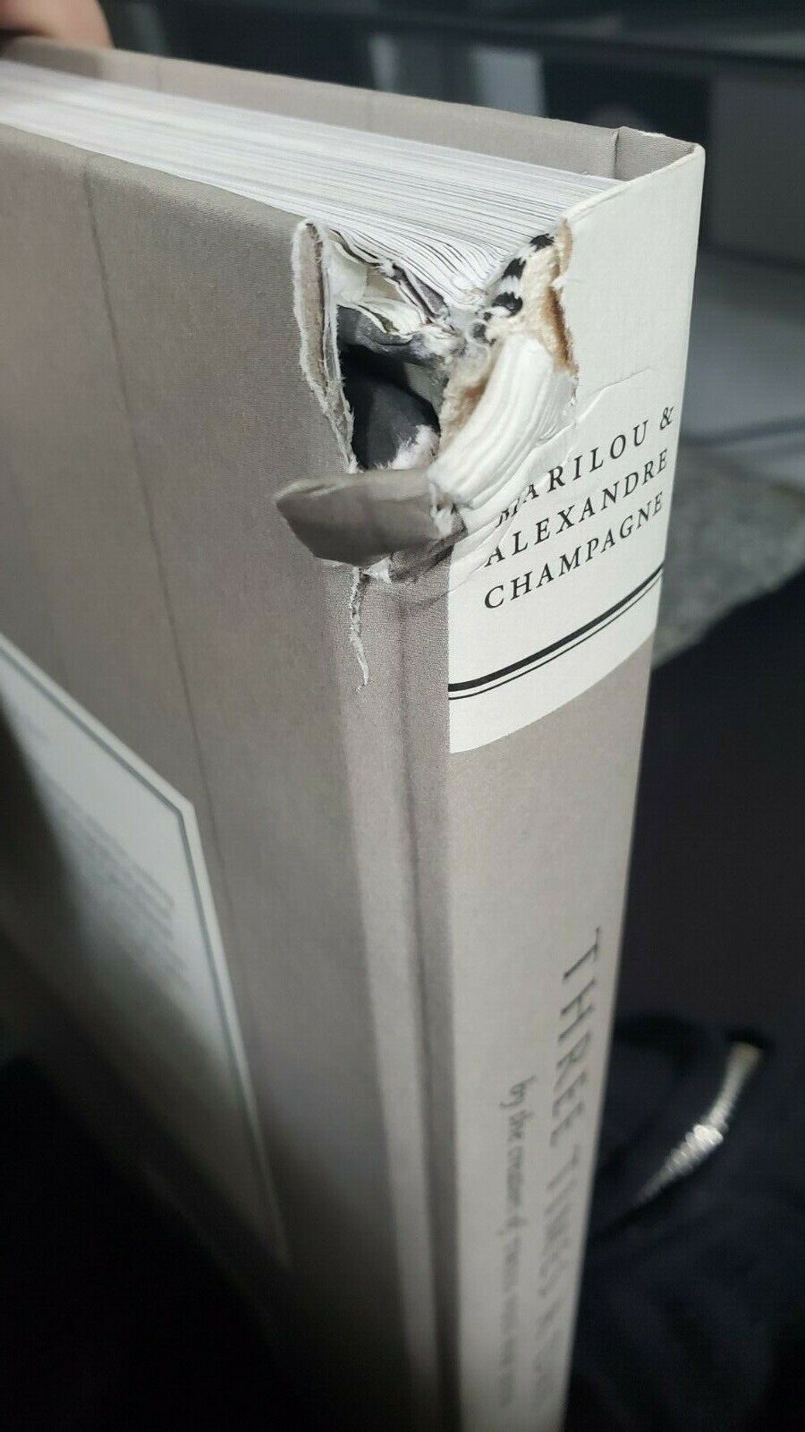 Three Times a Day by Alexandre Champagne and Marilou Champagne (2016, Hardcover)