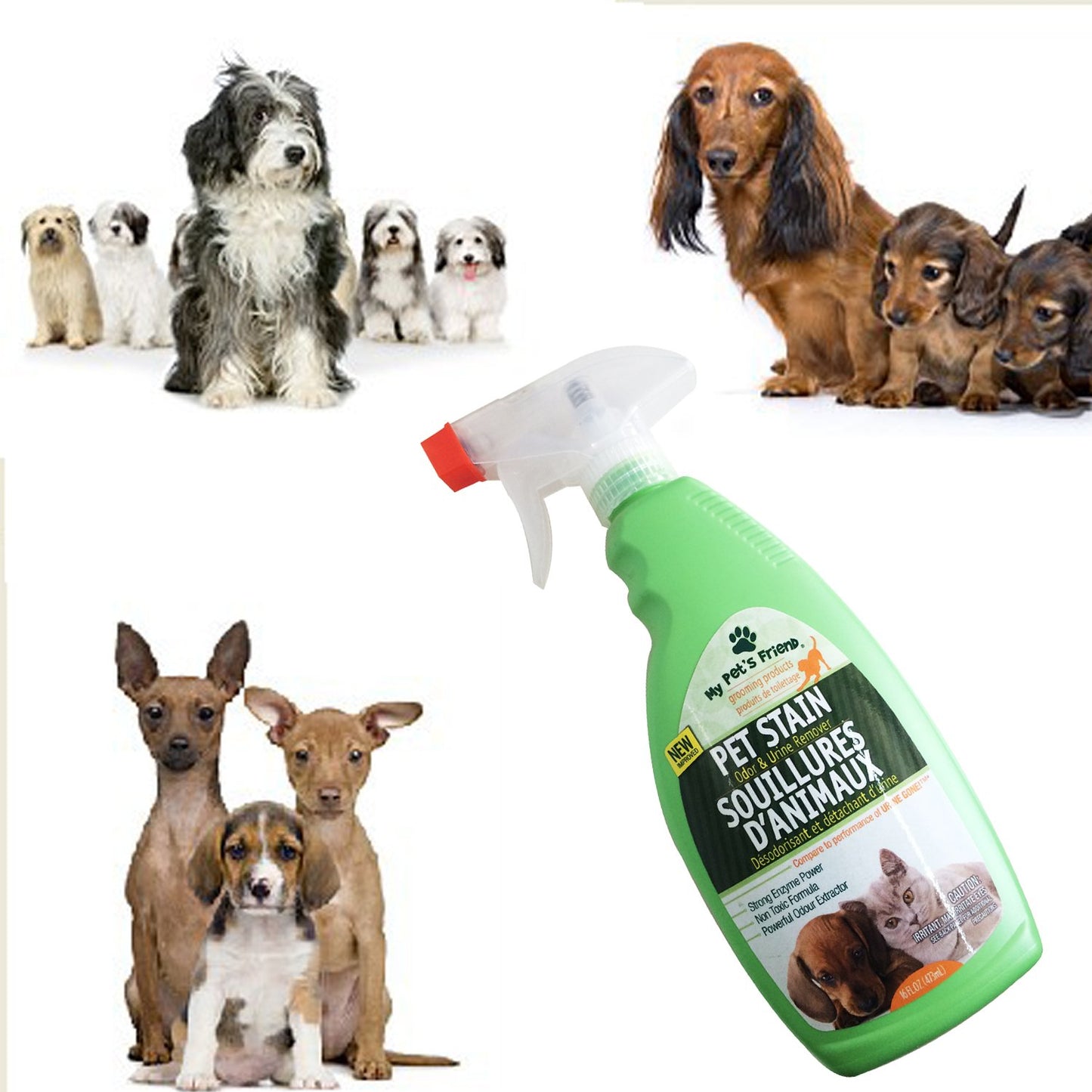 Pet Urine Remover