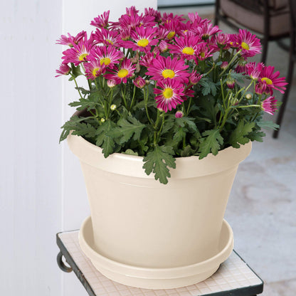 Bloem Terra Plant Saucer Tray for Planters 3-6" Taupe