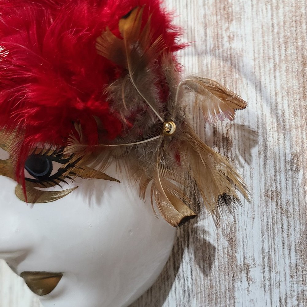 Red Feather Hanging Wall Mask