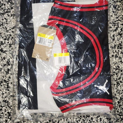 Chicago Bulls Statement Edition, Small